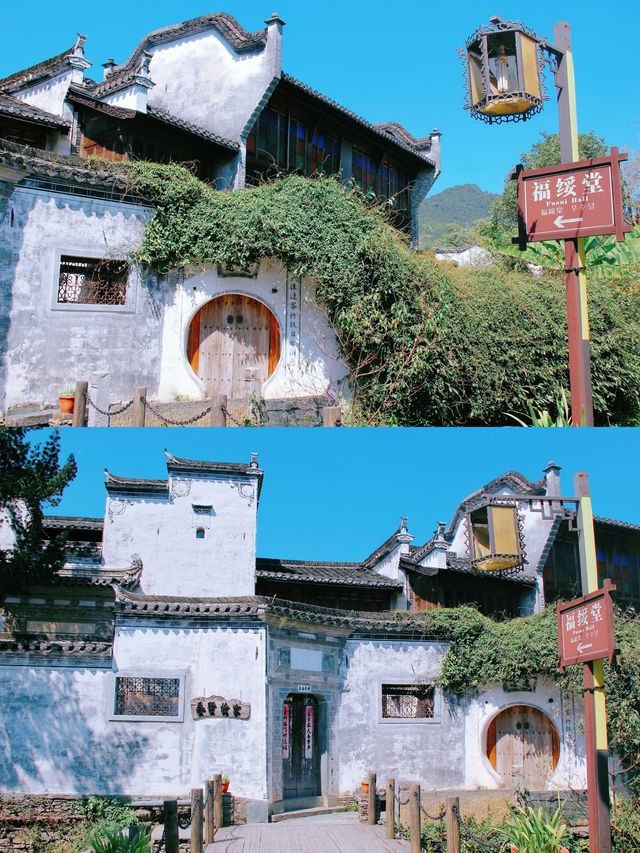 《國家地理》評為中國最美鄉村的婺源有多美