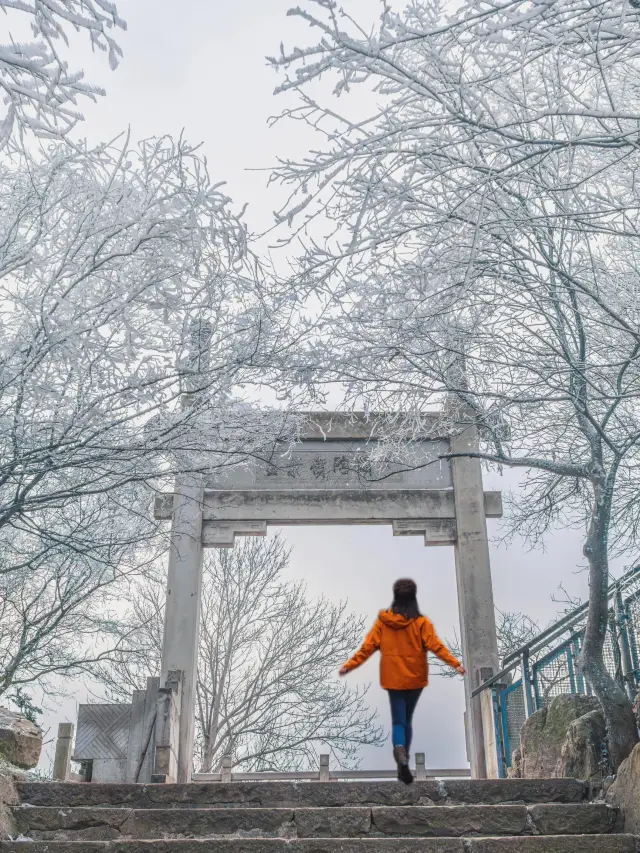 Take a wild walk and see the beautiful rime on Zijin Mountain with a guide