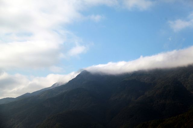 山石上的越野自駕