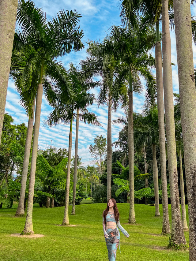 非花期的中科院植物園依然是版納啊～