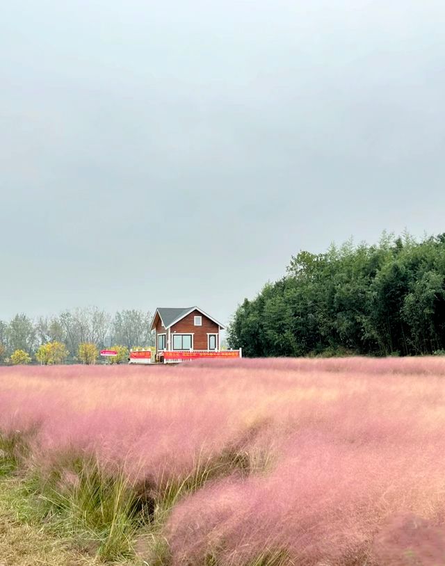 不是馬爾代去不起，而是池州生態濕地公園更有性價比