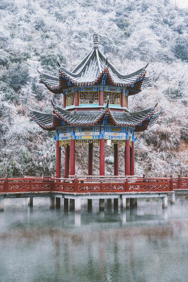 看看陽明山的霧凇