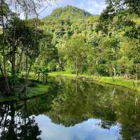 Paradise in Ecuador