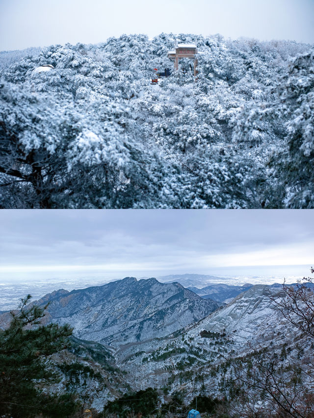 臨沂蒙山|闖進童話世界裡的林海雪原