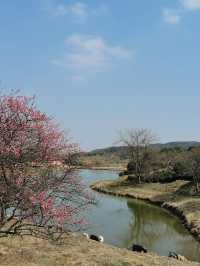 春遊記 沉醉在這一池碧水藍天中