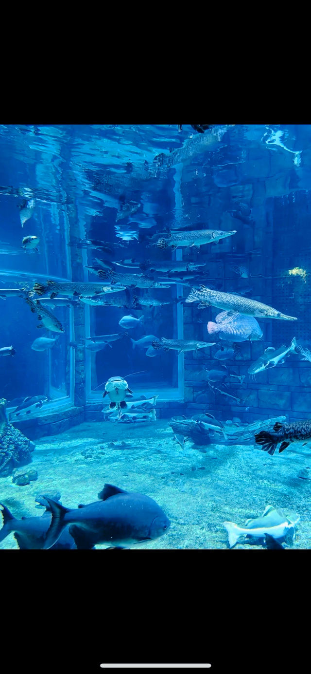 海花島海洋樂園