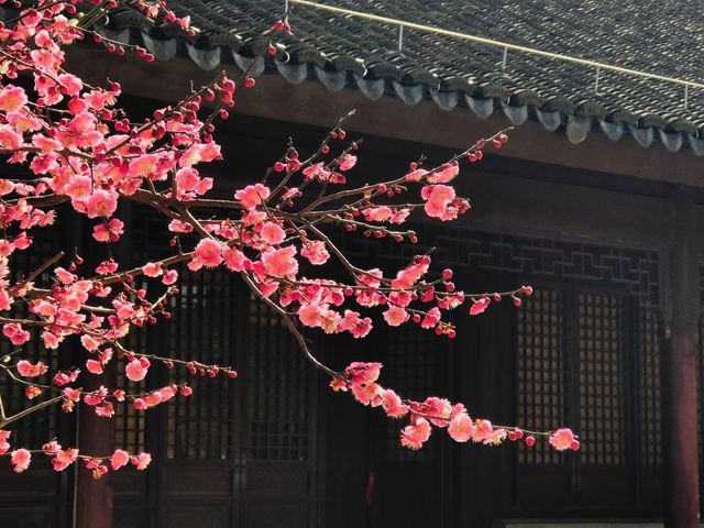 春暖花開好時節，尋找記憶中的古鎮