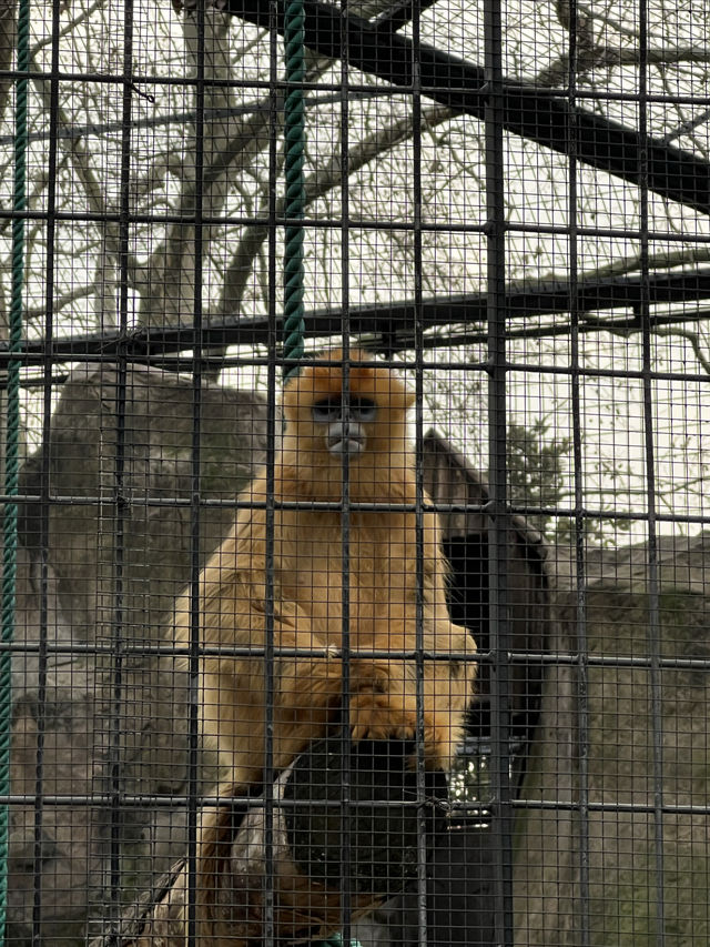 動物園一日遊，簡單易懂隨心攻略