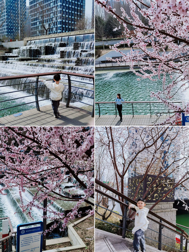 北京賞花地圖｜別再擠十里堡了 這裡的山桃花更美