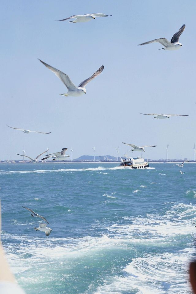 體驗威海春天的浪漫！三日遊，拍出不同的海！