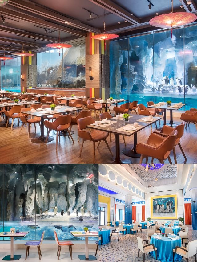 入住珠海長隆企鵝酒店是什麼體驗？超推薦！