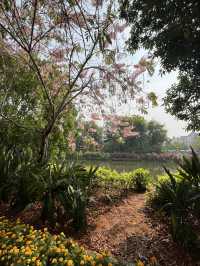 西雙版納熱帶花卉園