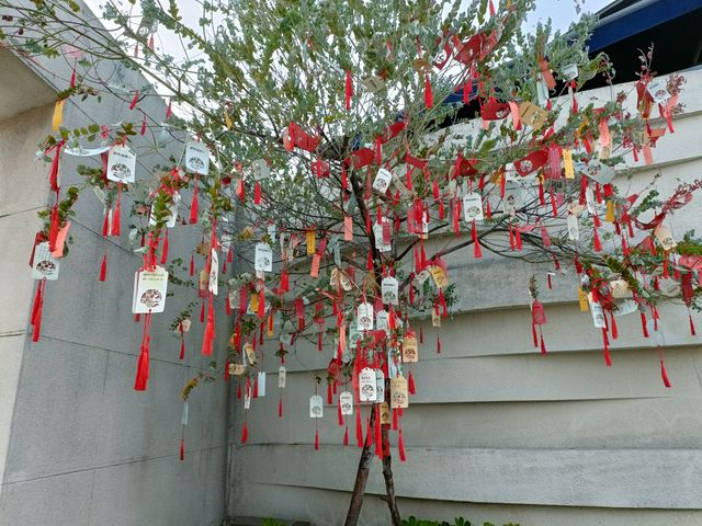 探索自然與繁華：深圳紅樹林與歡樂海岸雙重體驗之旅