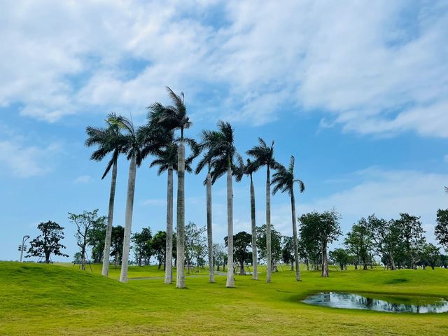 總要去一次海南吧！去感受椰林海風｜海花島