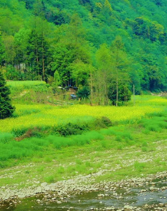 踏青正當時～小村莊感受油畫般的春