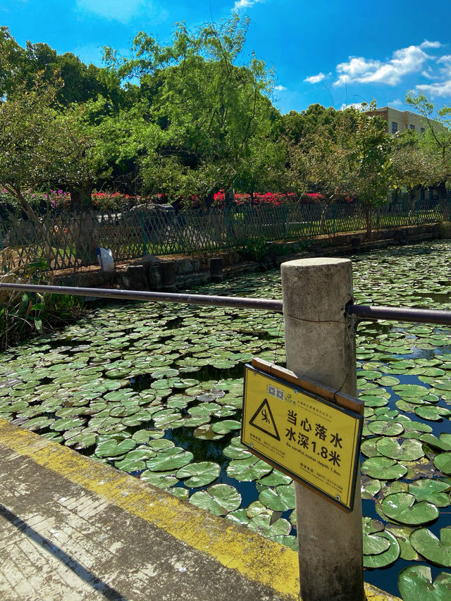 玉溪·匯溪公園