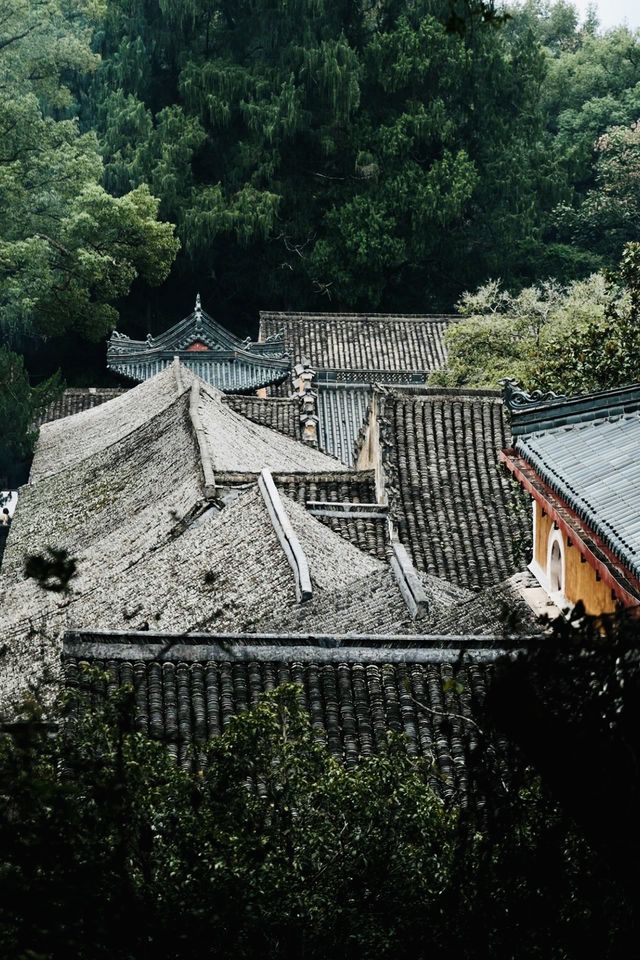 天台山｜秋日國清