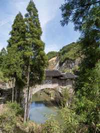 泰順廊橋泰順不着急，泰順可以慢慢走