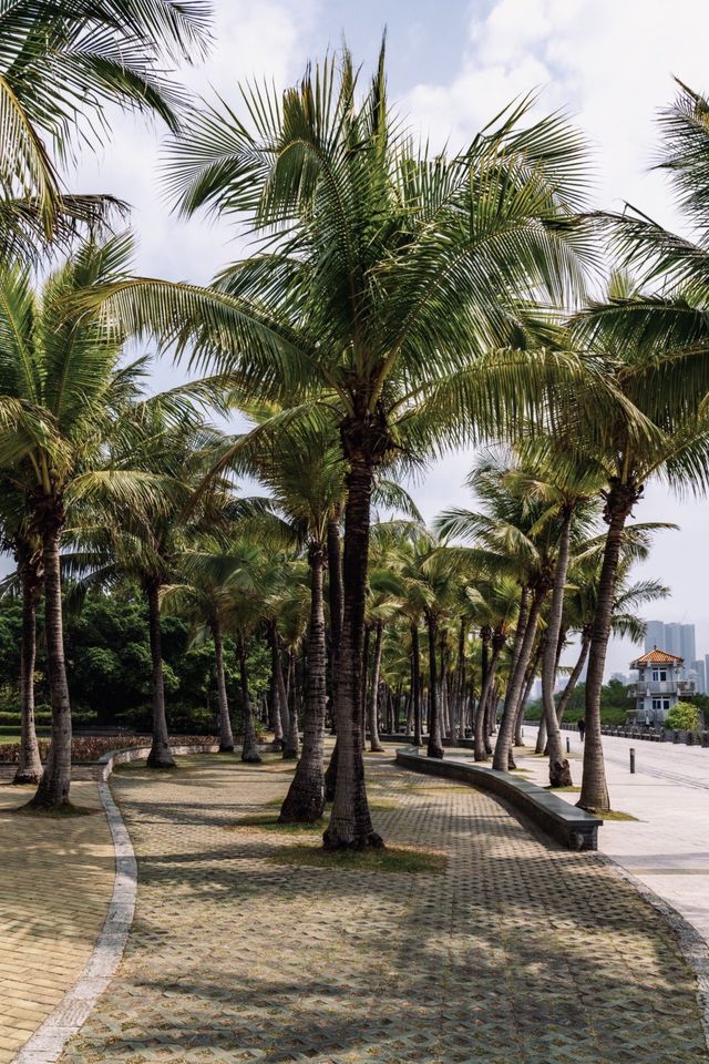 這裡是三亞|深圳海濱生態公園遊玩攻略