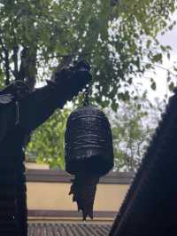 心平能愈萬千疾|深圳藏在鬧市中的小眾寺廟