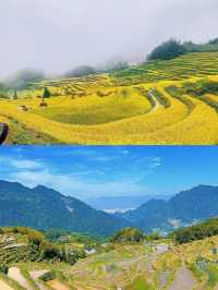 浙江云和梯田