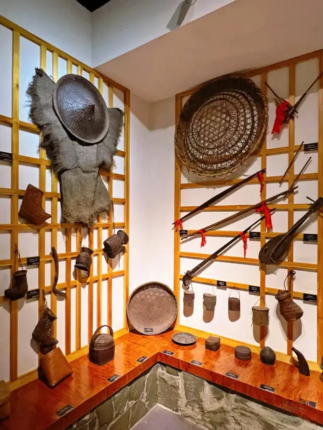 Don't miss the high-value【Liuzhou Museum】when visiting Liuzhou