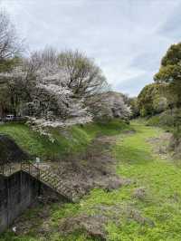 名古屋城外的大津橋