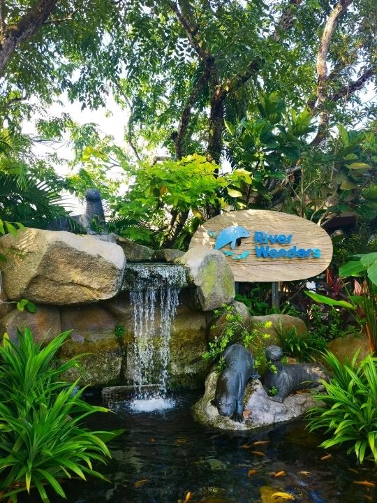 Real Time Fun at River Wonders Singapore🇸🇬