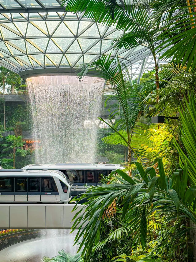 Singapore Changi Airport ✈️🇸🇬