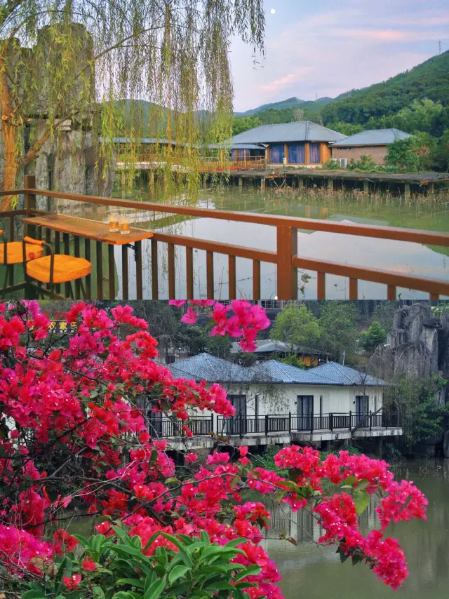 A new retreat in Huizhou! A healing homestay nestled next to a waterfall and surrounded by wilderness