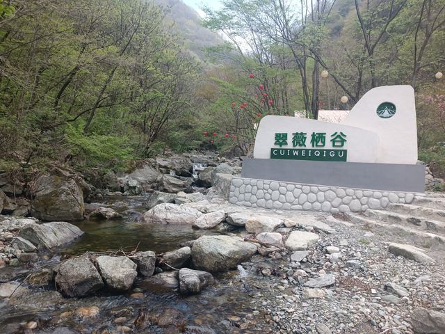 翠微硒谷