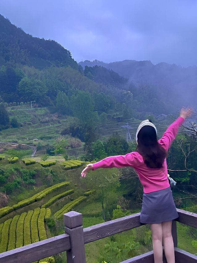 雲海梯田！！坐上纜車去喝雲端咖啡