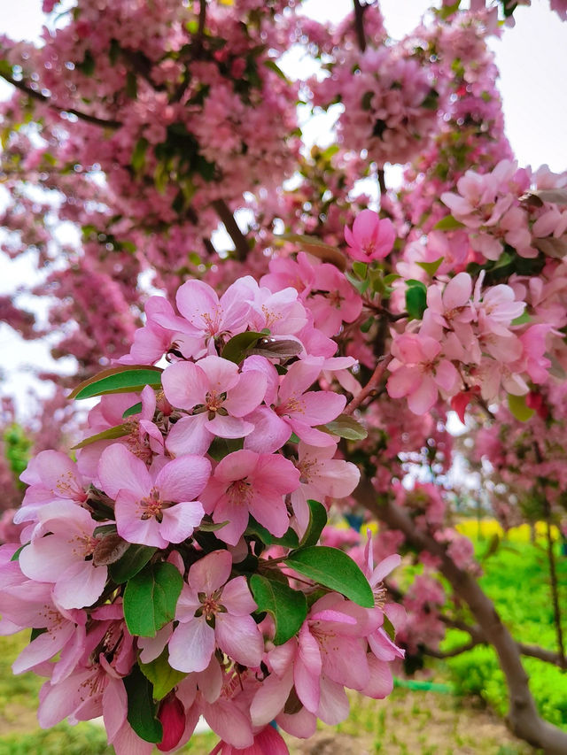 保定-極限公園：青春活力盡情釋放