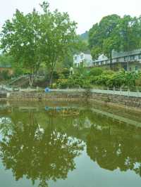 不出遠門過五一，賞花露營遛娃寶藏地