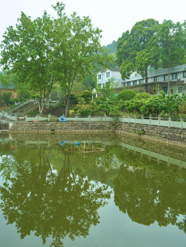 不出遠門過五一，賞花露營遛娃寶藏地