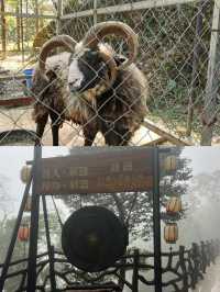 仙人洞|仙人撫我頂，結髮受長生