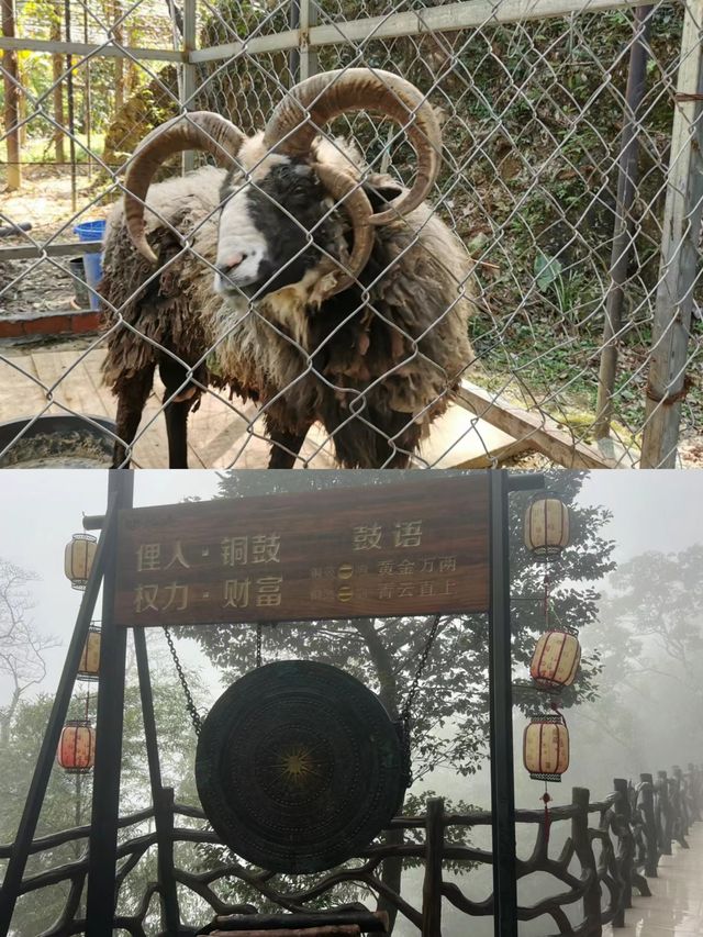 仙人洞|仙人撫我頂，結髮受長生