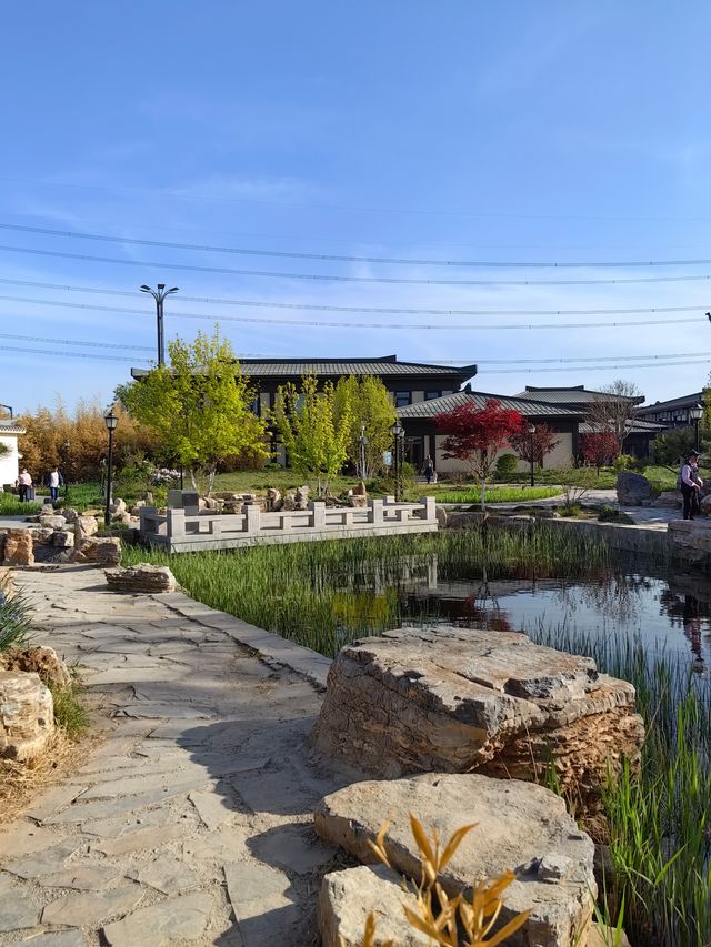 郊野公園不荒涼