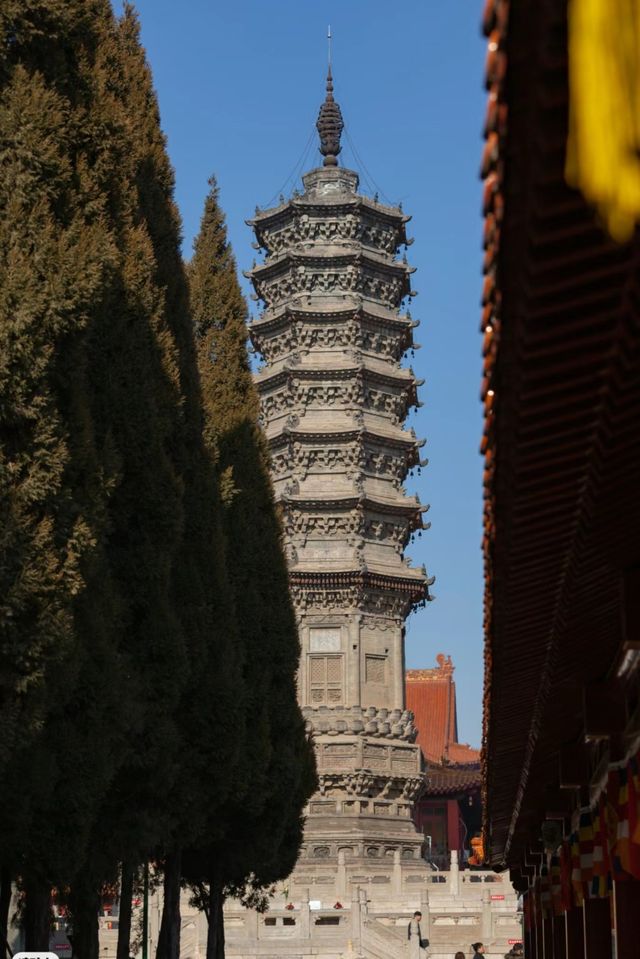 石家莊  -  柏林禪寺來晚了