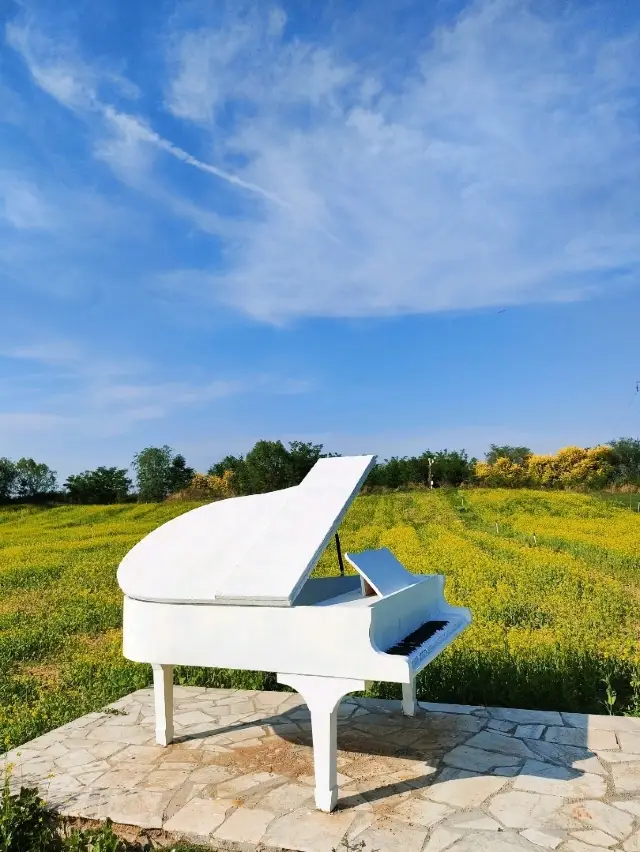 正定森林河趣那主題樂園