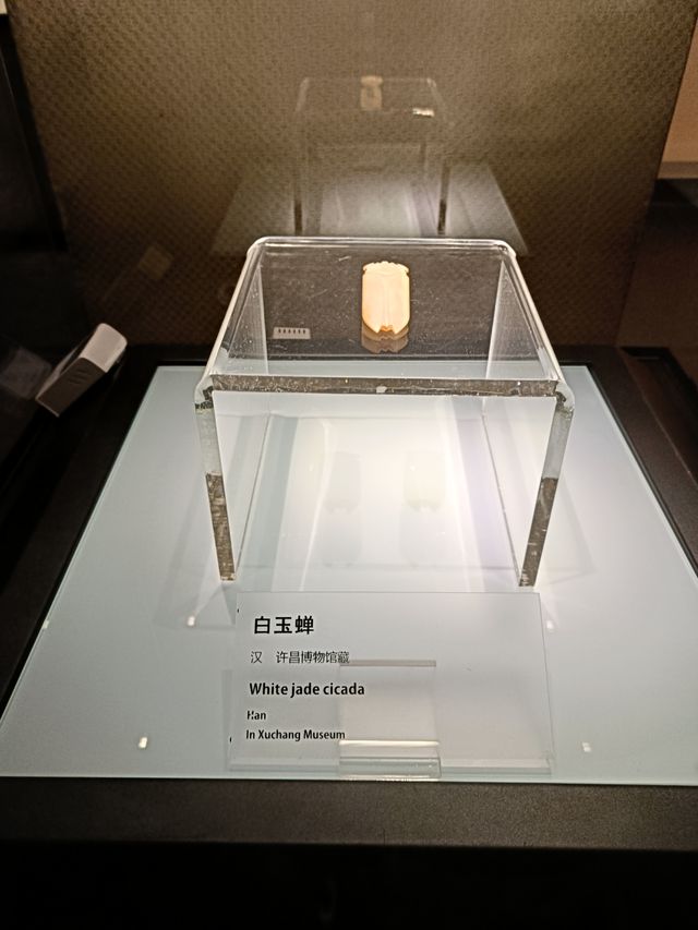 許昌博物館——歷史的“冰箱”