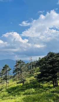 露營佳地“天華山”