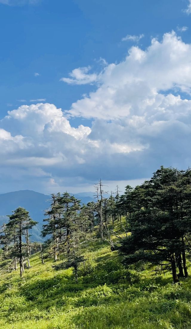 露營佳地“天華山”