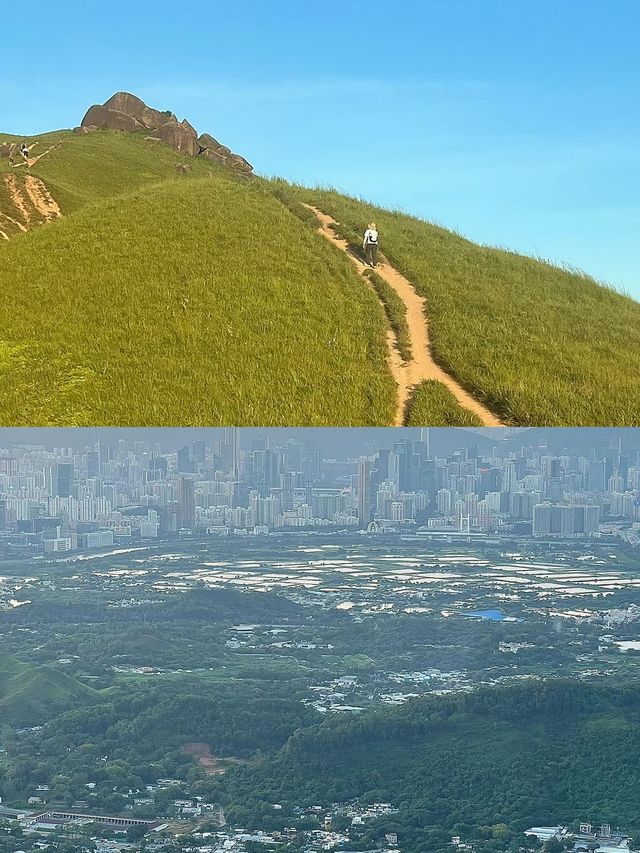 深圳40分鐘直達的山頂草原，美哭了