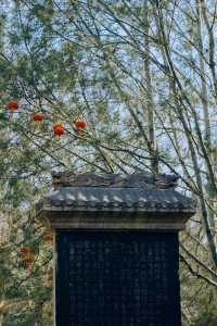 山西·太原|碑林公園打卡