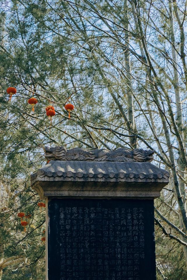山西·太原|碑林公園打卡