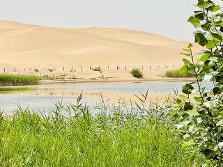 Golden Sand Bay