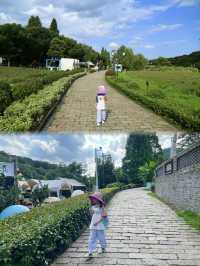 聽說這裡號稱南京小新疆