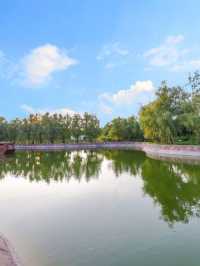 🌟 Henan Highlights: Kaifu International's Cozy Stay ✈️🏨