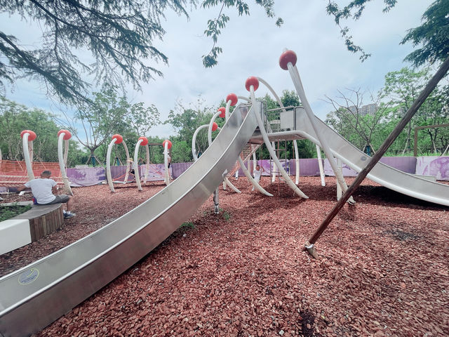 就是我，在38度的高溫裡帶娃去了公園大戶外